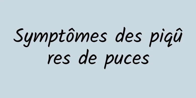 Symptômes des piqûres de puces