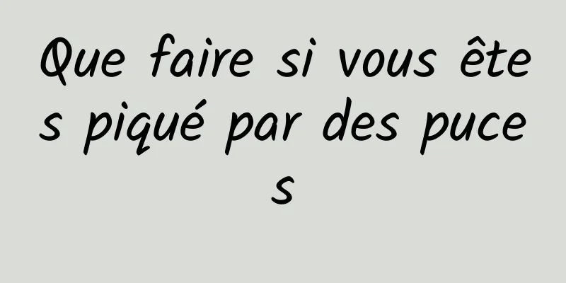 Que faire si vous êtes piqué par des puces