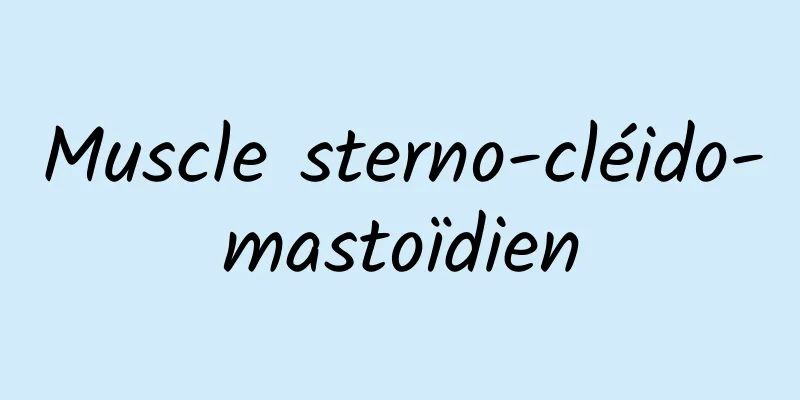 Muscle sterno-cléido-mastoïdien