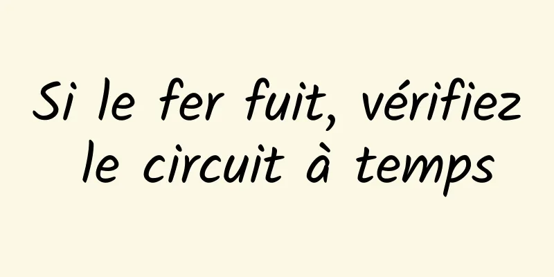 Si le fer fuit, vérifiez le circuit à temps