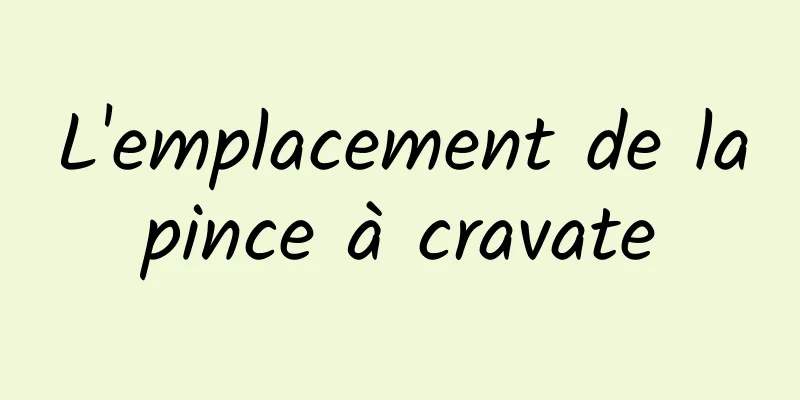 L'emplacement de la pince à cravate 