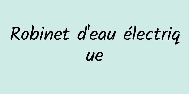 Robinet d'eau électrique