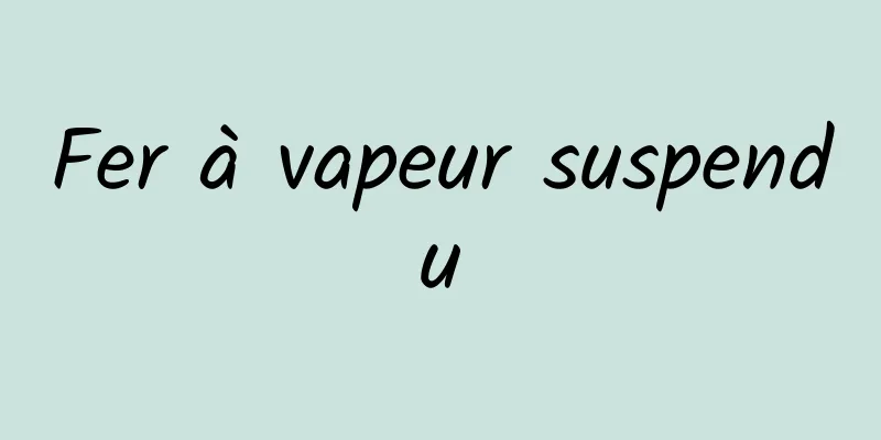 Fer à vapeur suspendu