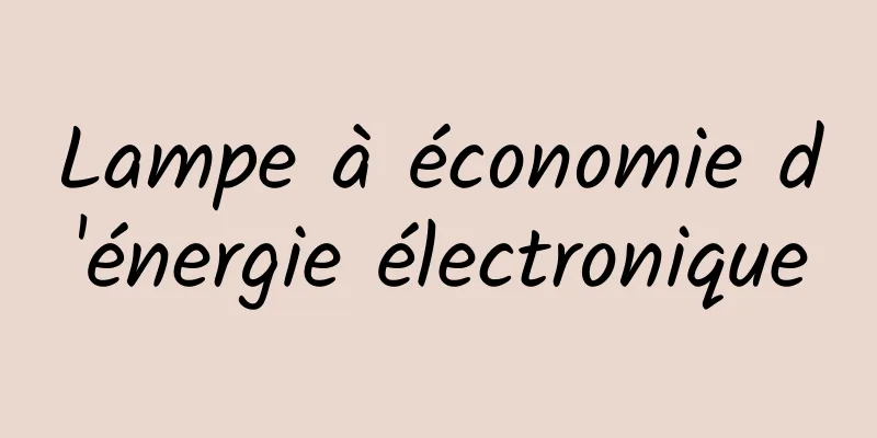 Lampe à économie d'énergie électronique