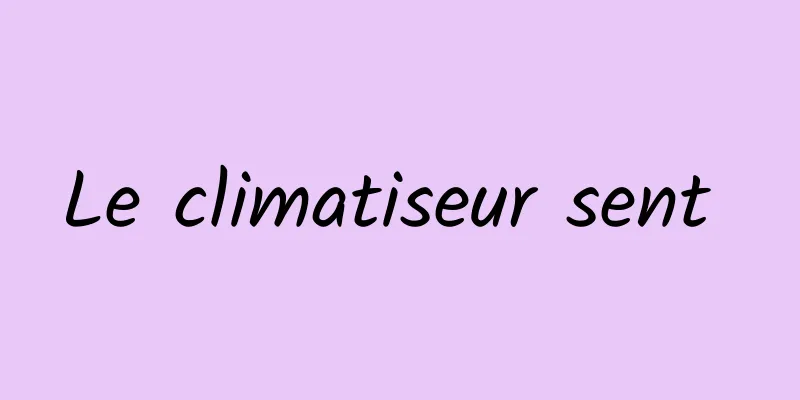 Le climatiseur sent 