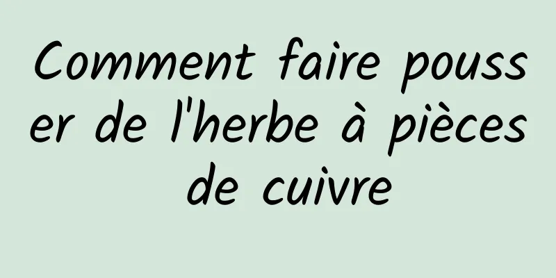 Comment faire pousser de l'herbe à pièces de cuivre