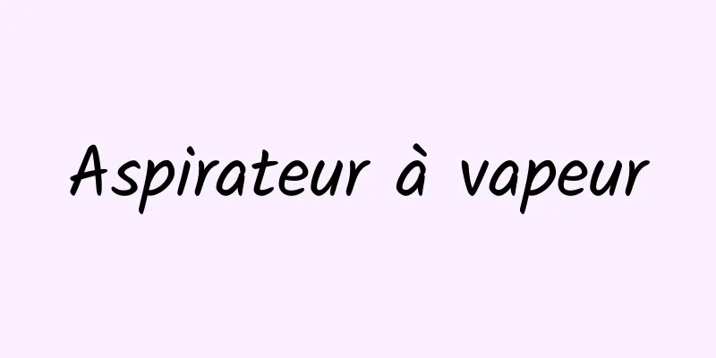 Aspirateur à vapeur