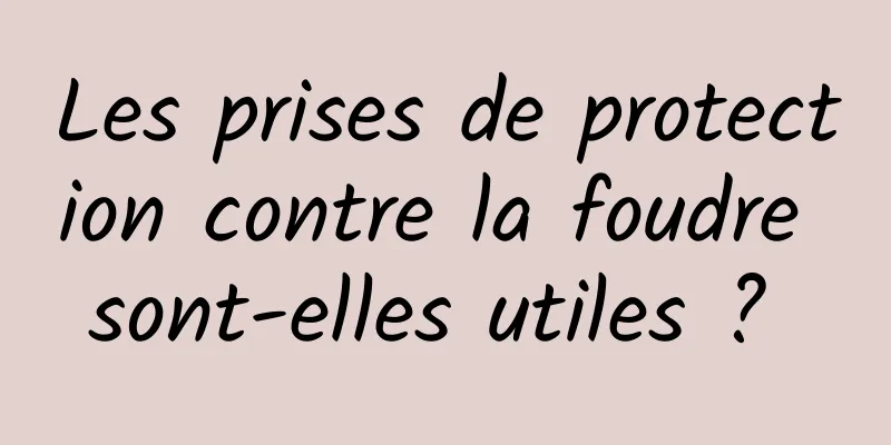 Les prises de protection contre la foudre sont-elles utiles ? 