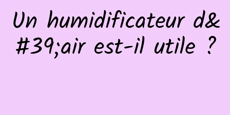 Un humidificateur d'air est-il utile ? 