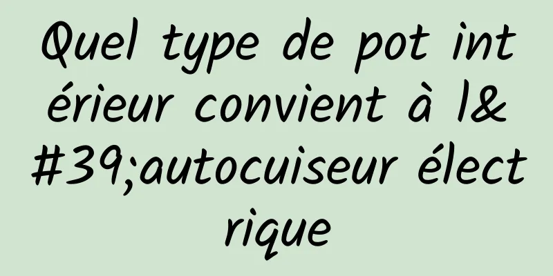 Quel type de pot intérieur convient à l'autocuiseur électrique