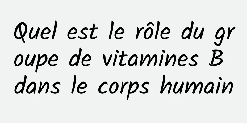 Quel est le rôle du groupe de vitamines B dans le corps humain