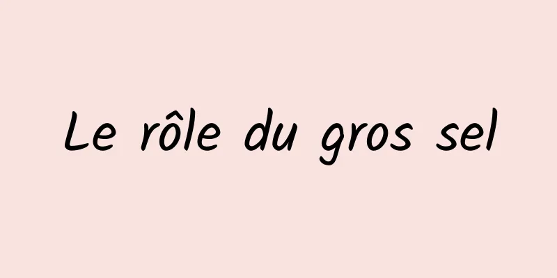 Le rôle du gros sel