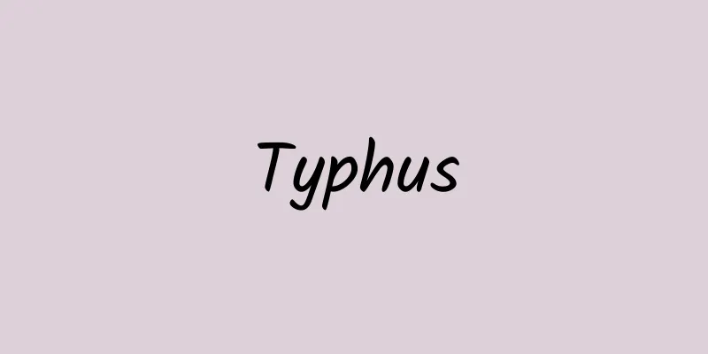 Typhus