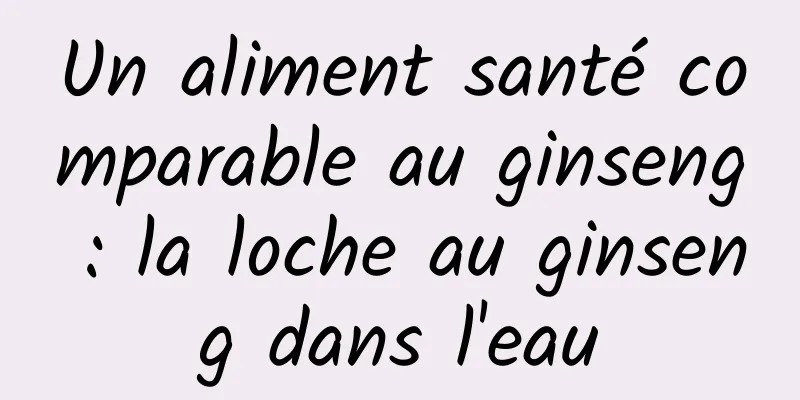 Un aliment santé comparable au ginseng : la loche au ginseng dans l'eau