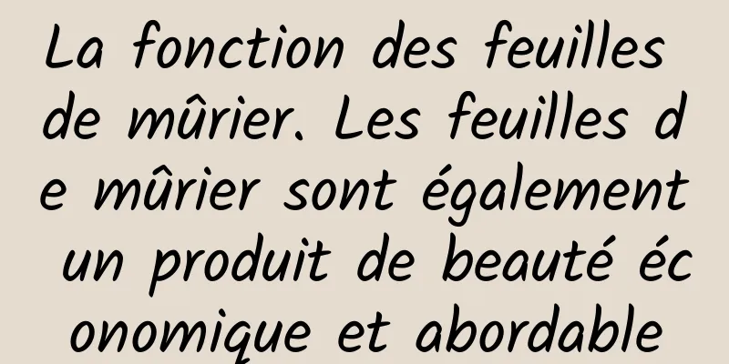 La fonction des feuilles de mûrier. Les feuilles de mûrier sont également un produit de beauté économique et abordable