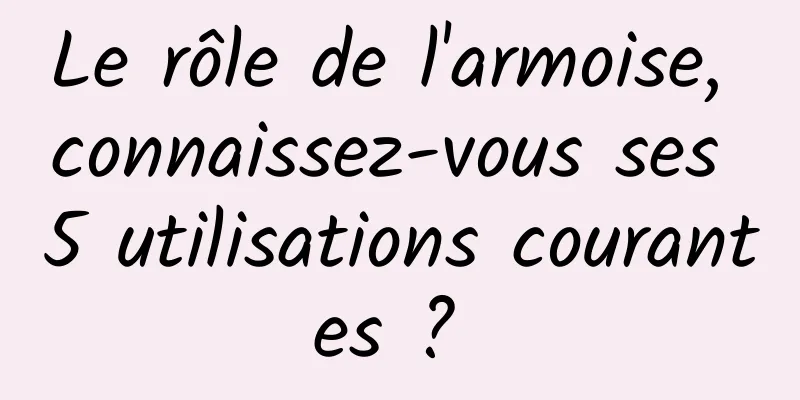 Le rôle de l'armoise, connaissez-vous ses 5 utilisations courantes ? 